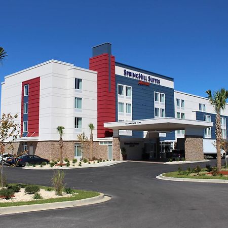 Springhill Suites By Marriott Sumter Exterior foto